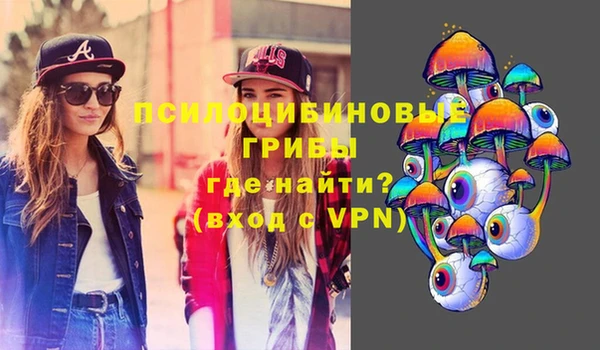2c-b Волосово