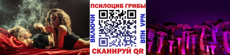 Галлюциногенные грибы Cubensis  Знаменск 